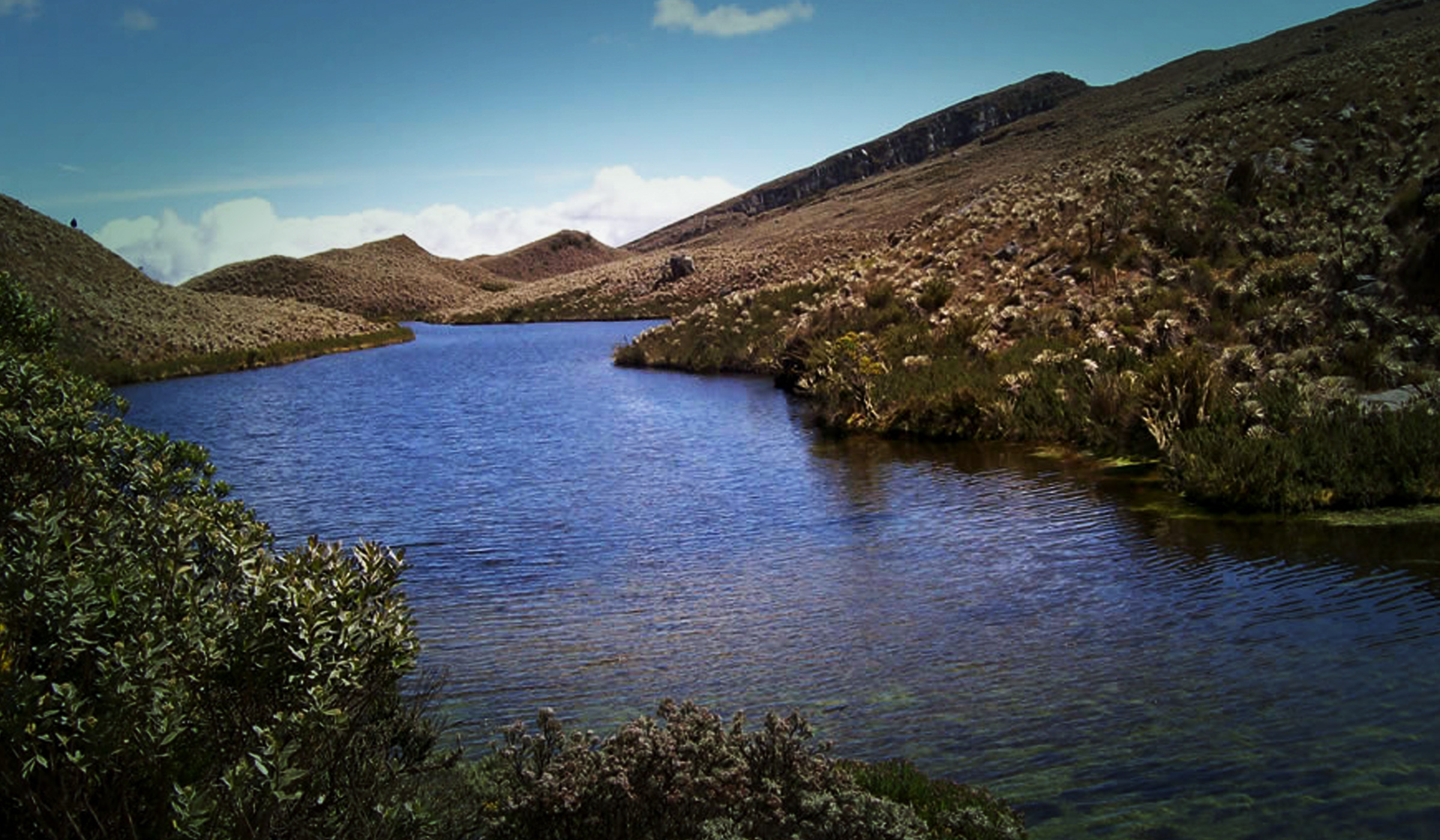 Ni avistamiento de aves ni contemplación del paisaje: el Parque Nacional  Natural Sumapaz no está abierto al ecoturismo