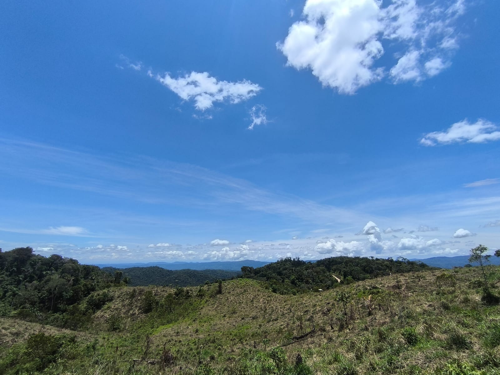 Nuestros Parques Nacionales: un laboratorio vivo para el conocimiento
