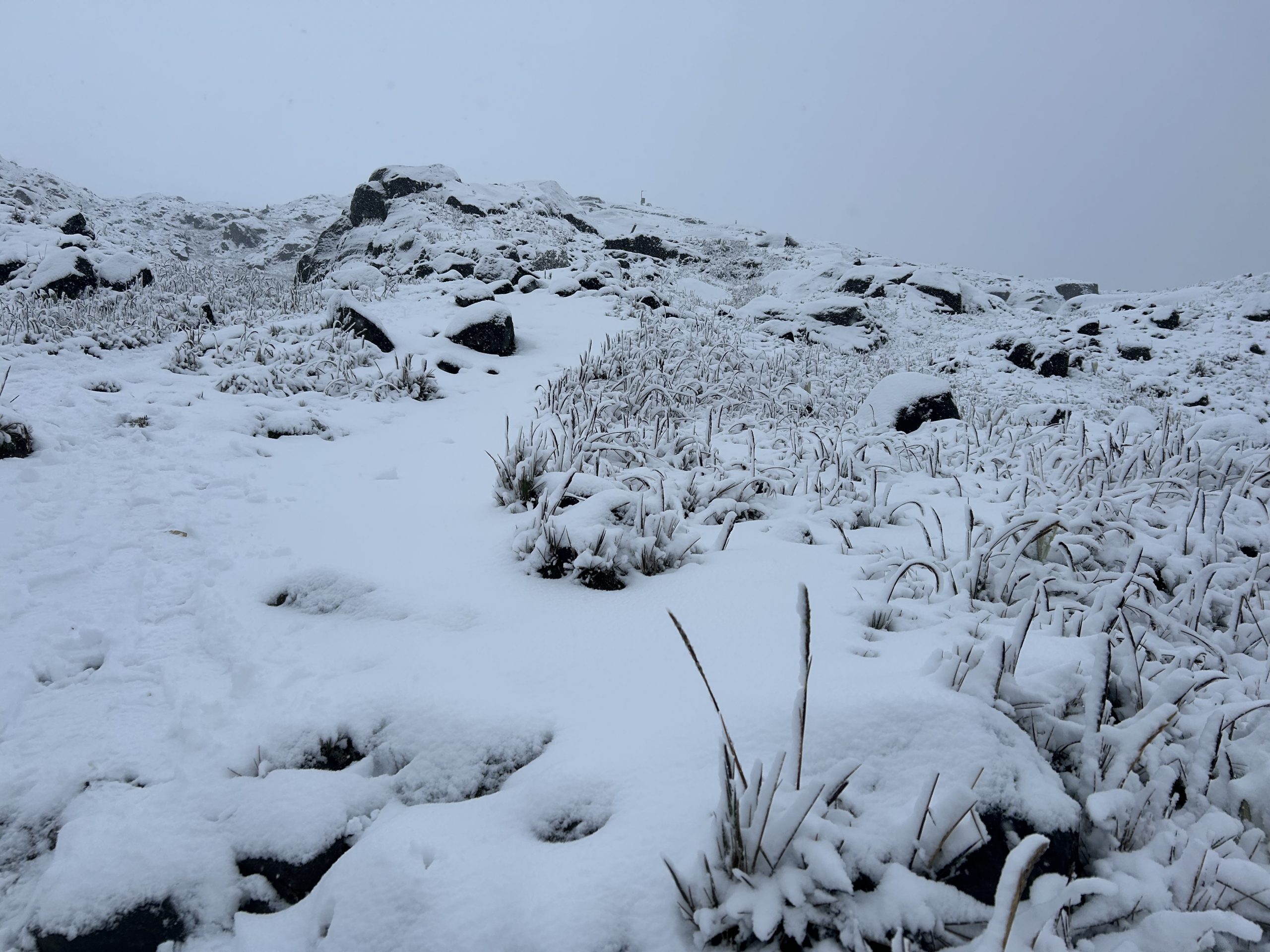 Una de las nevadas más grandes del año cubre el Parque Nacional Natural Los Nevados Una de las nevadas más grandes del año cubre el Parque Nacional Natural Los Nevados