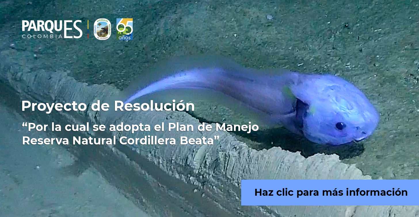 Proyecto de Resolución «Por la cual se adopta el Plan de Manejo Reserva Natural Cordillera Beata» Proyecto de Resolución «Por la cual se adopta el Plan de Manejo Reserva Natural Cordillera Beata»