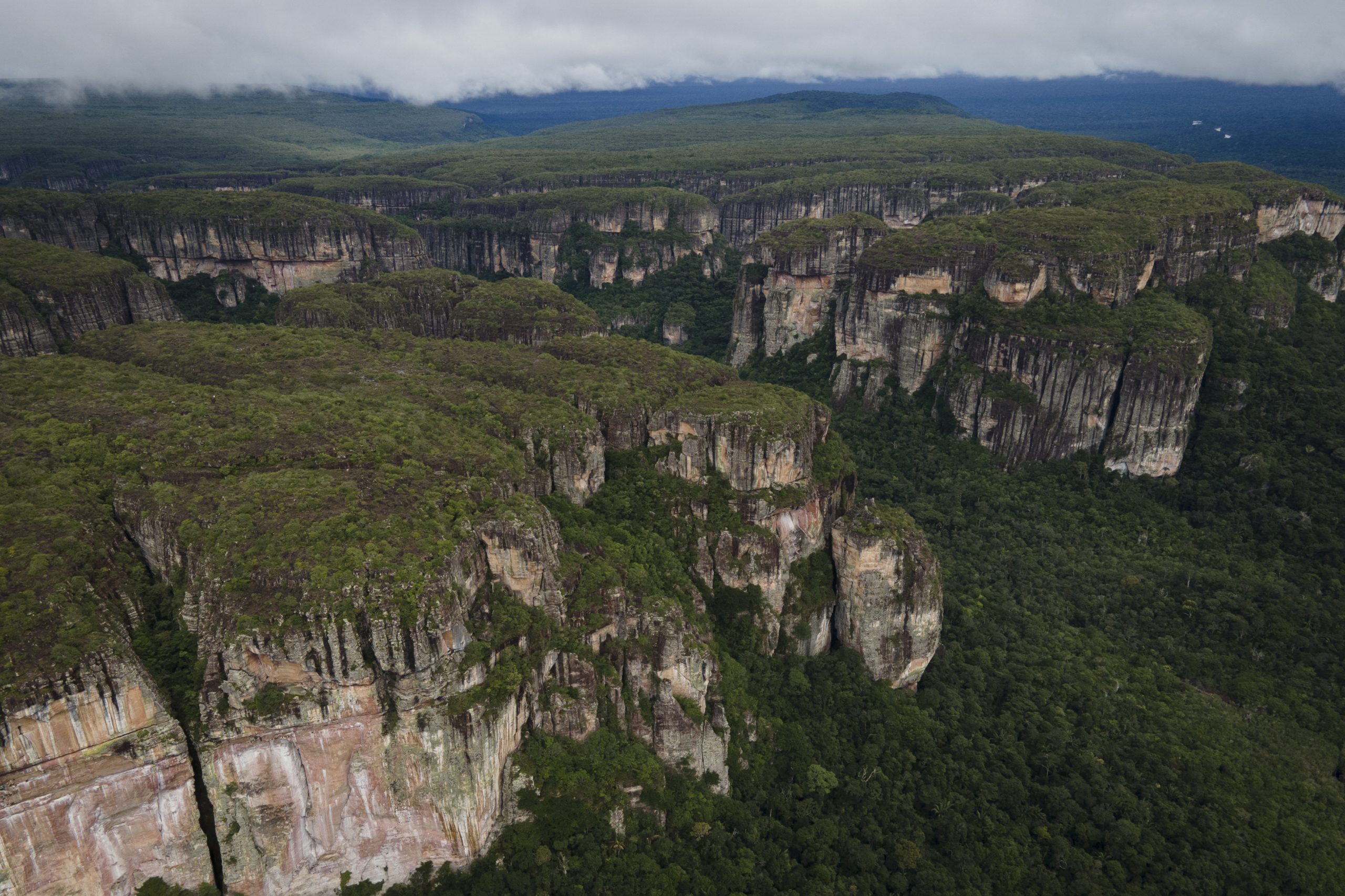 Dos Guardianes en acción una misma misión: Paz con la naturaleza