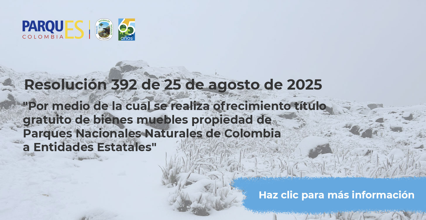 Resolución 392 de 25 de agosto de 2025