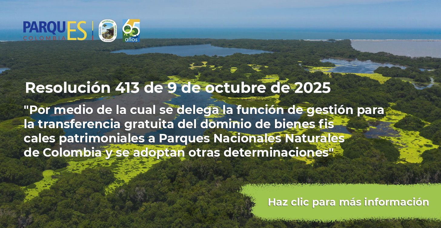 Resolución 413 de 9 de octubre de 2025 Resolución 413 de 9 de octubre de 2025