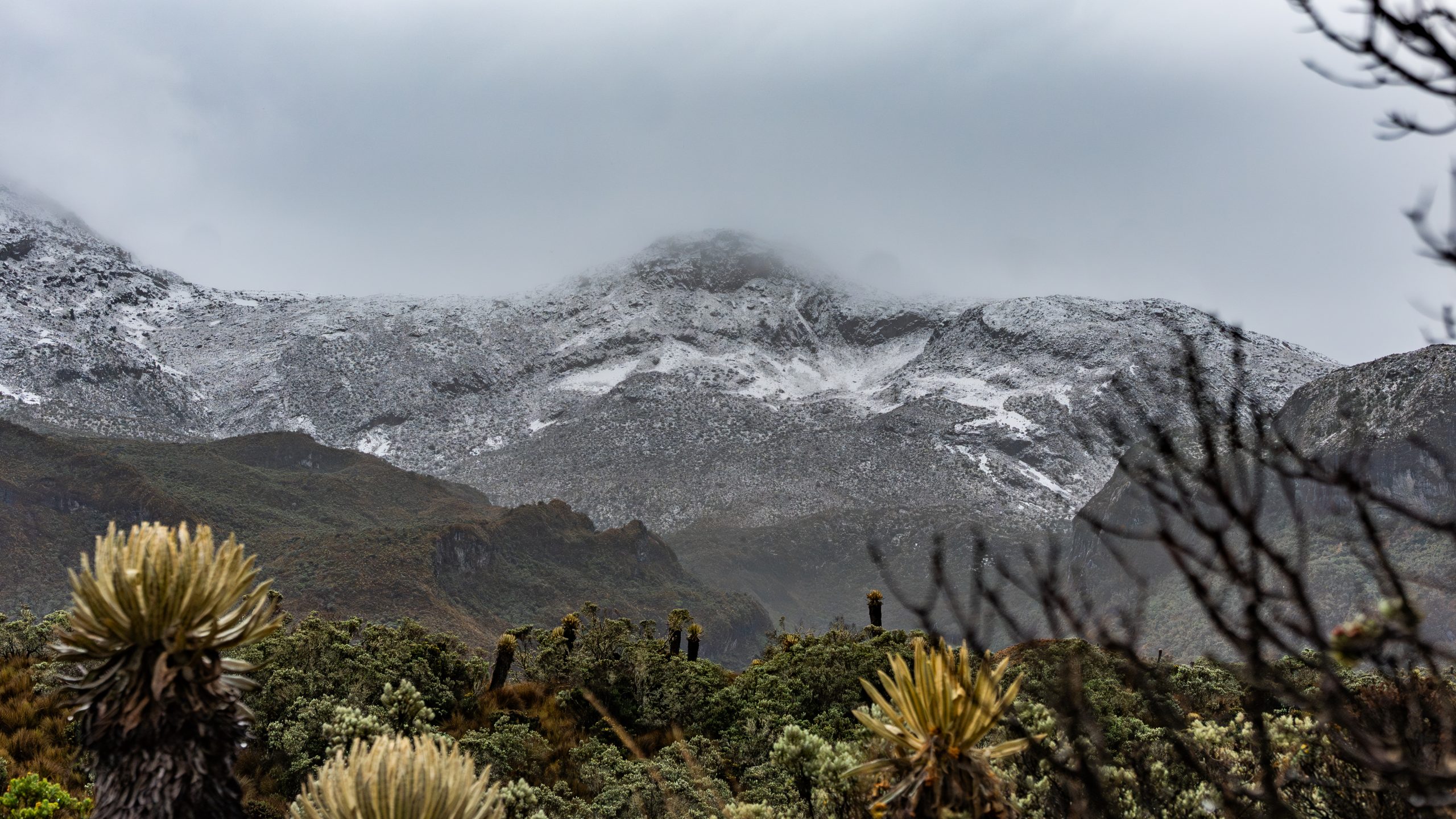 El Parque Nacional Natural Los Nevados realizará cierre temporal para permitir la regeneración del páramo, los bosques altoandinos y los glaciares.