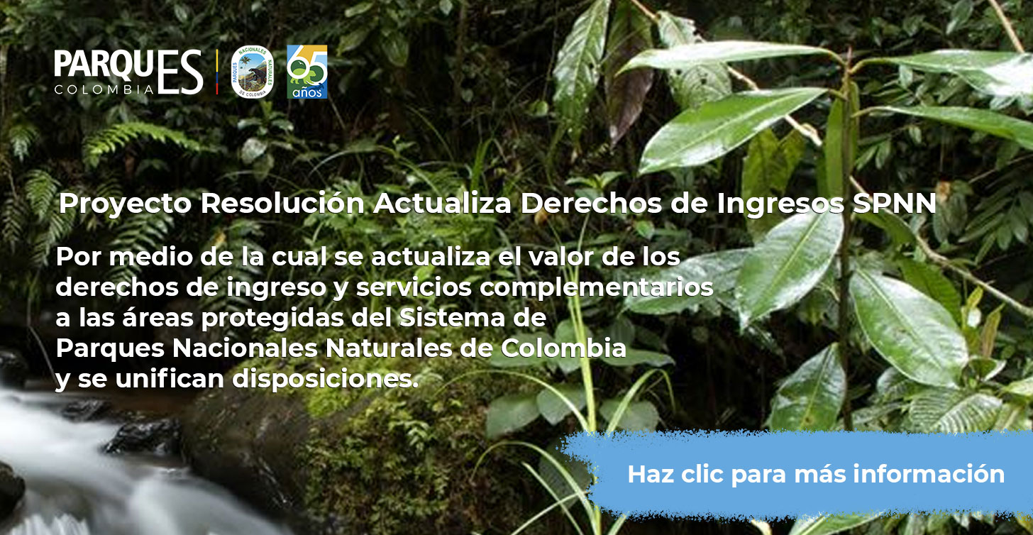 Proyecto Resolución Actualiza Derechos de Ingresos SPNN