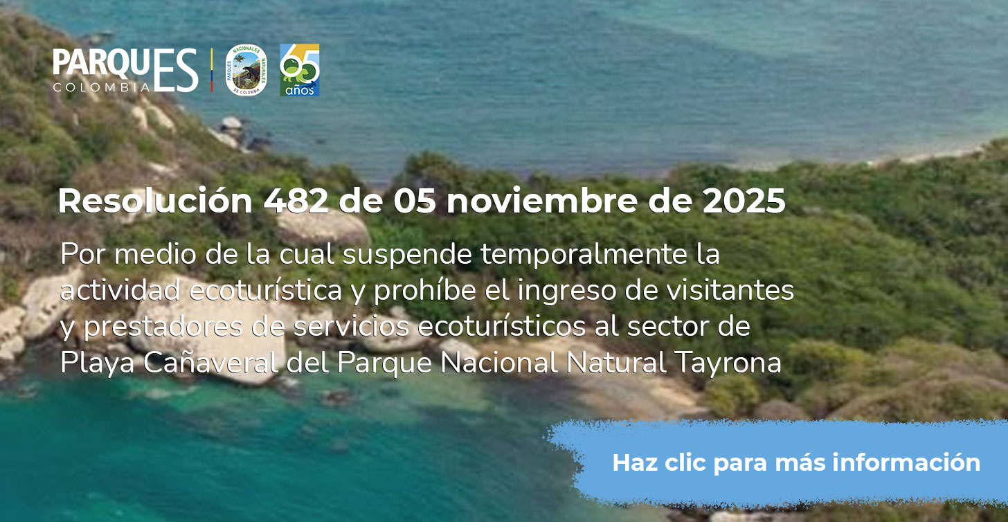 Resolución 482 de 05 noviembre de 2025