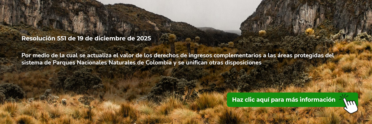 Resolución 551 de 19 de diciembre de 2025