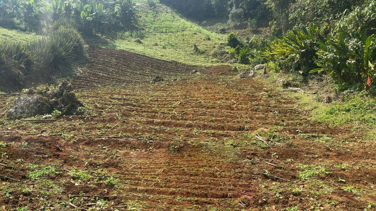 Alcaldía de Cali y Parques Nacionales realizan operativo para recuperar predio ocupado ilegalmente en los Farallones