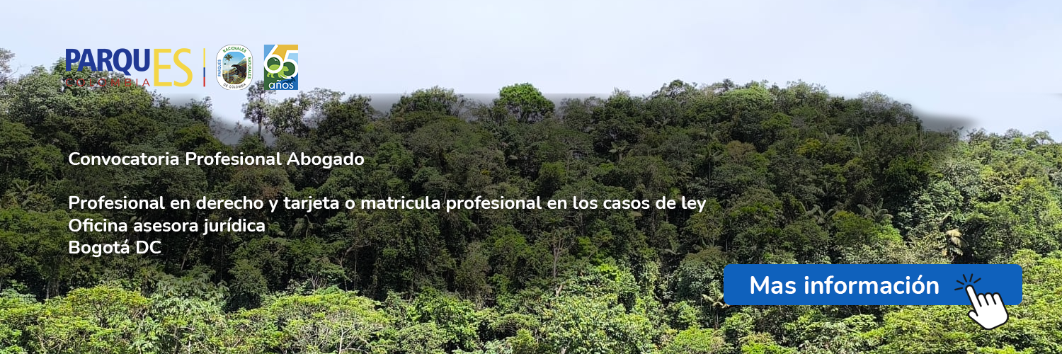 Convocatoria Profesional Abogado