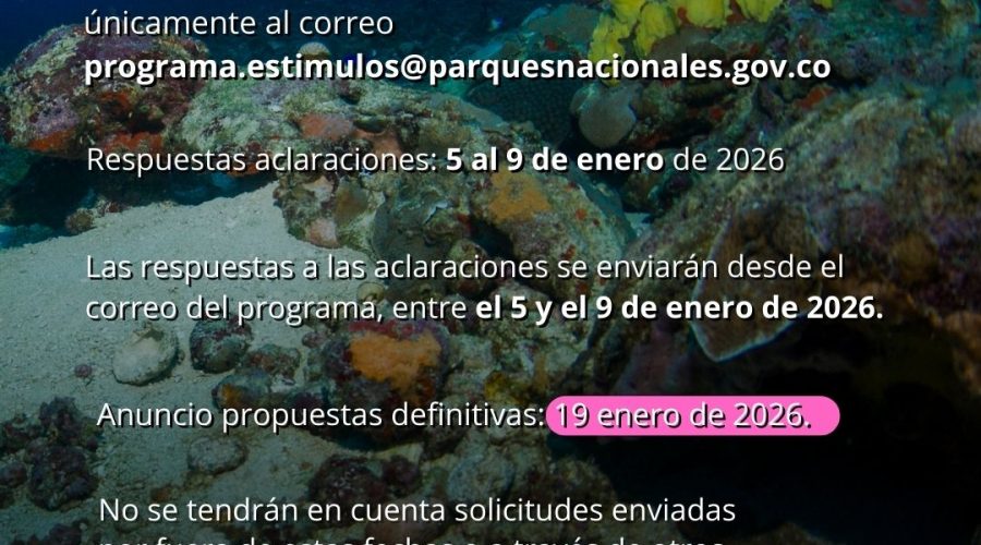 Ya están disponibles los resultados preliminares de la convocatoria de investigación - 2