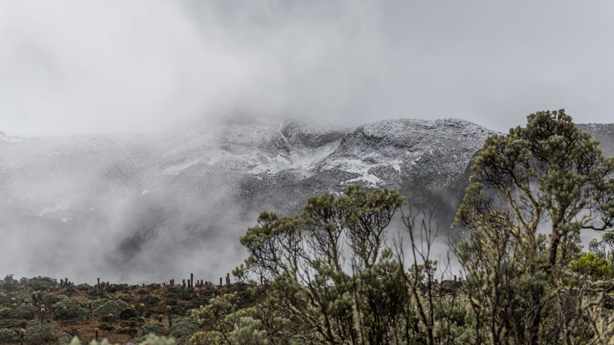 ¿Quiere visitar el Parque Nacional Natural Los Nevados por su sector Brisas Kumanday en 2026? Conozca el pico y placa ambiental en la vía Manizales – Murillo