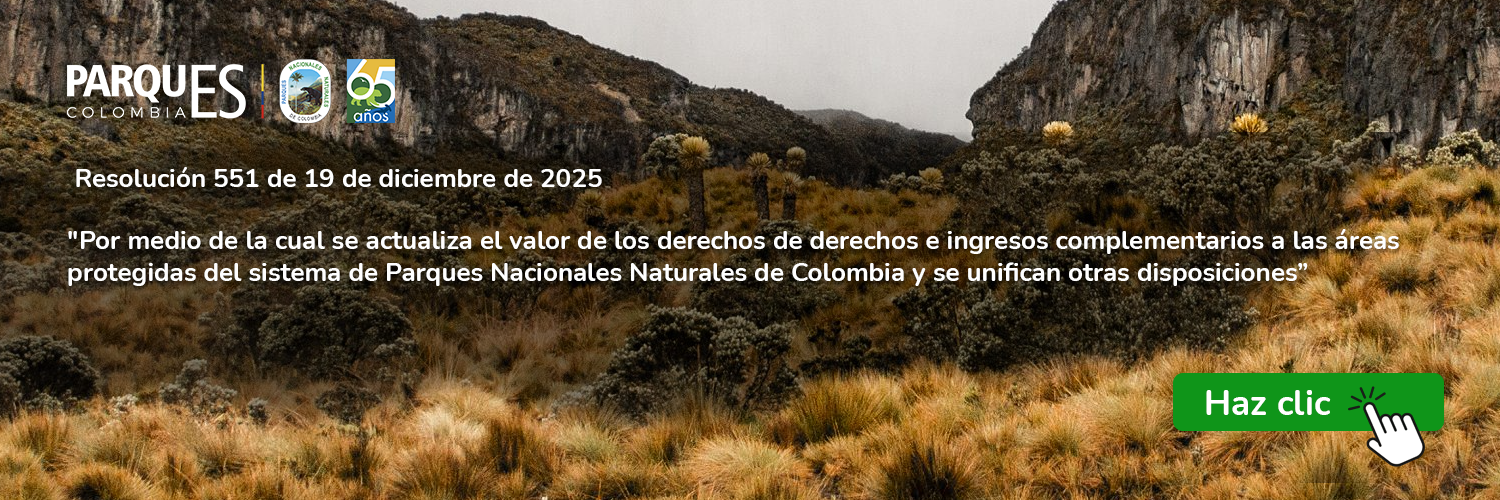 Resolución 551 de 19 de diciembre de 2025