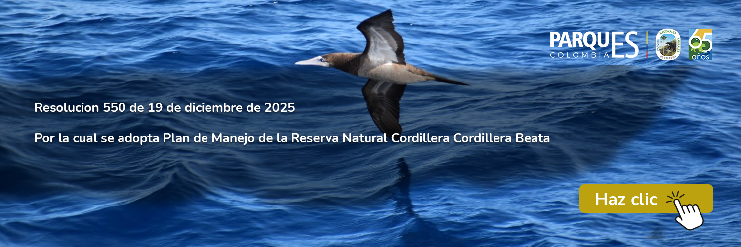 Resolución 550 de 19 de diciembre de 2025