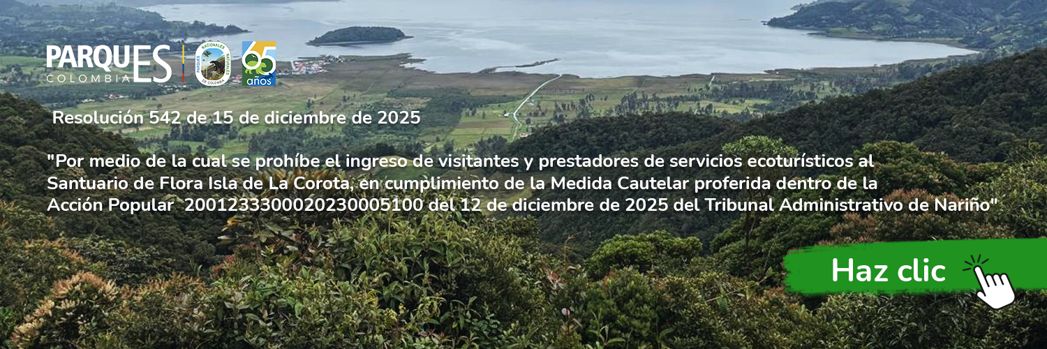 Resolución 542 de 15 de diciembre de 2025