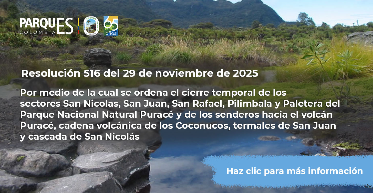 Resolución 516 del 29 de noviembre de 2025