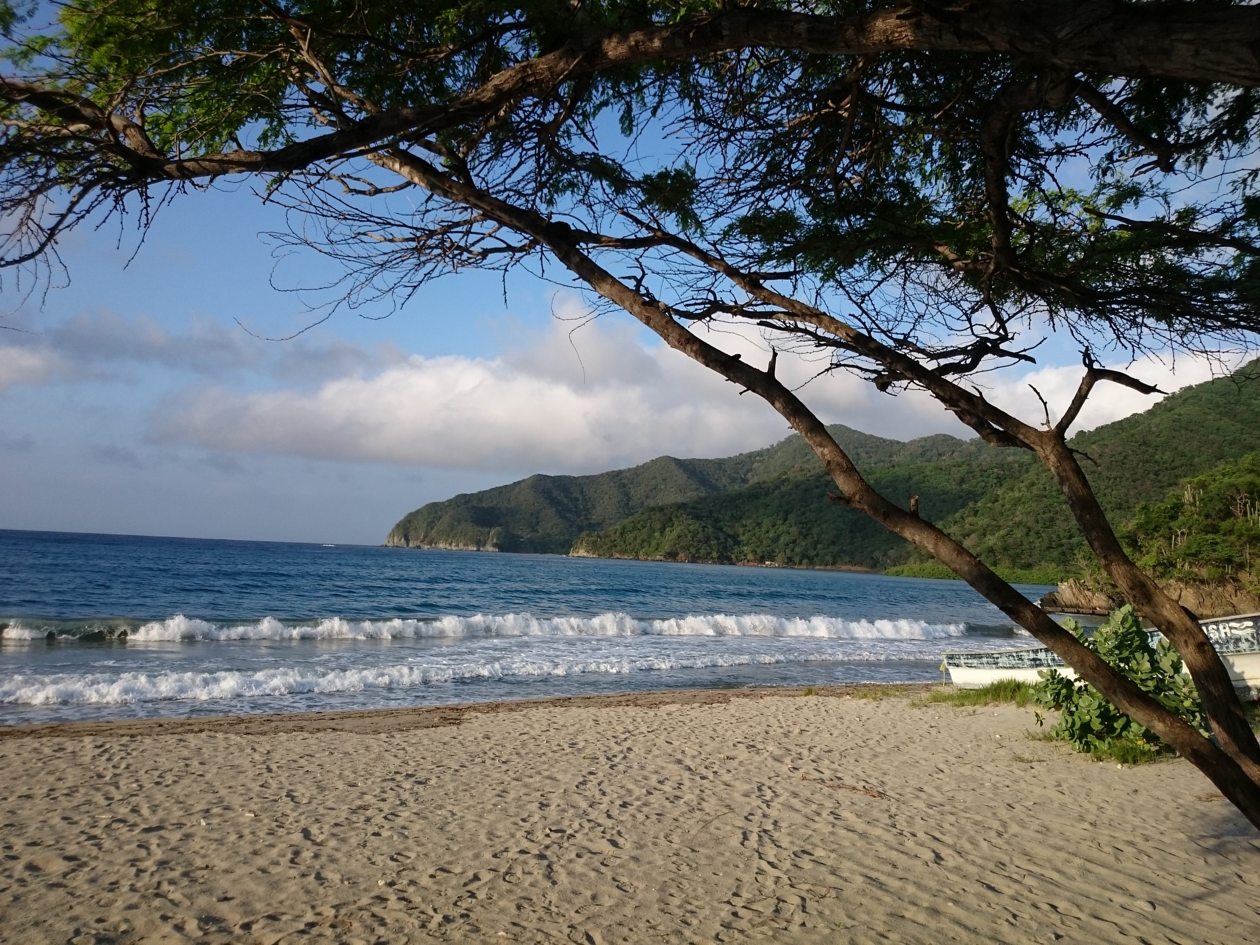 Tayrona renueva su energía: primer cierre temporal del 2026