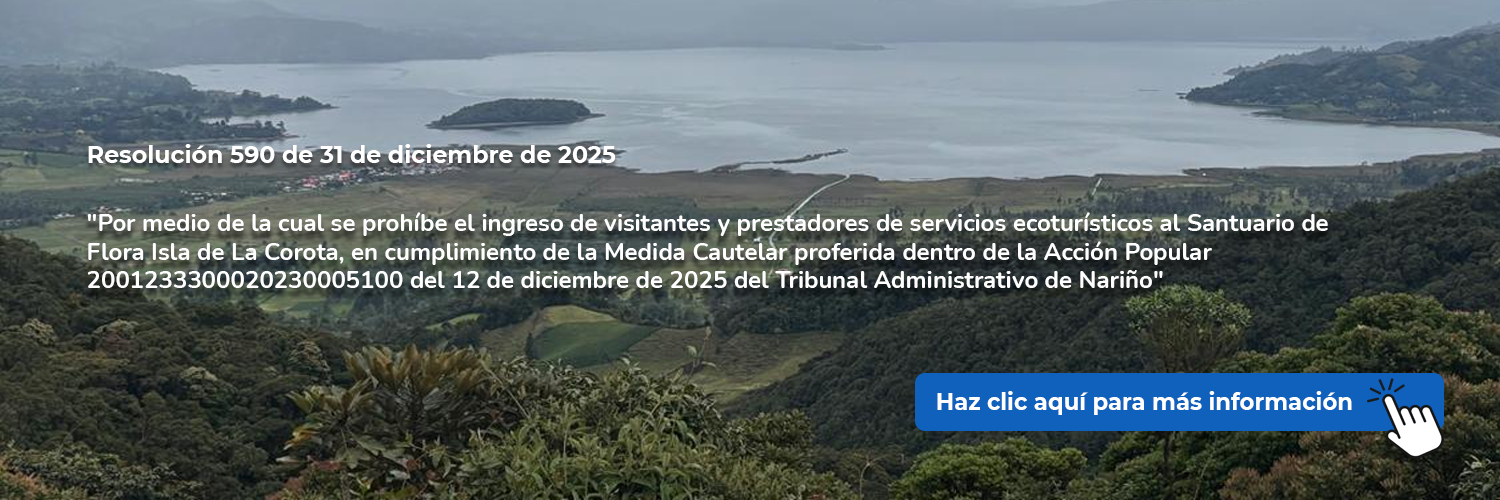 Resolución 590 de 31 de diciembre de 2025