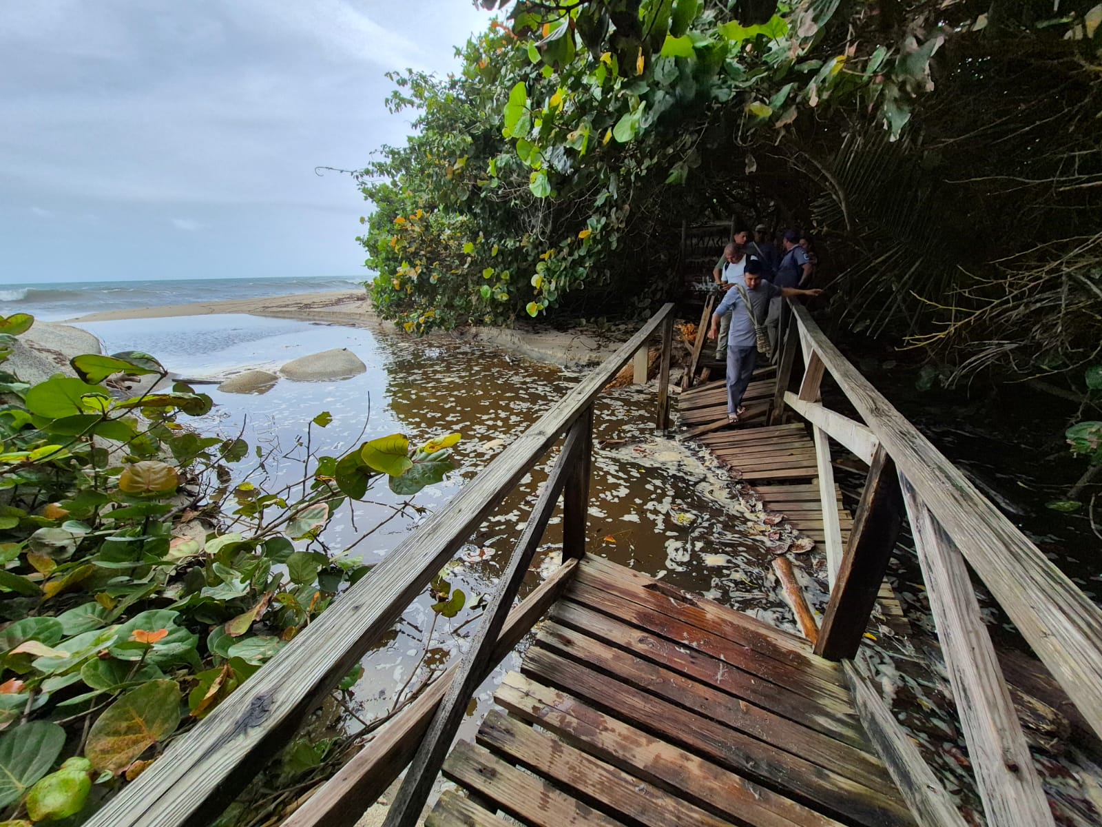 Suspensión temporal del sector Cañaveral en el Parques Nacional Natural Tayrona