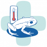 ilustra conocimientoB-02 ilustra conocimientoB-02