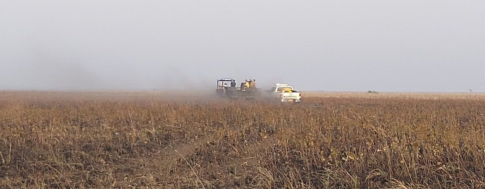 Extinción total de los incendios en el Distrito Nacional de Manejo  Integrado Cinaruco