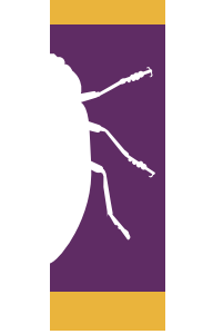 biodiversidad-icono