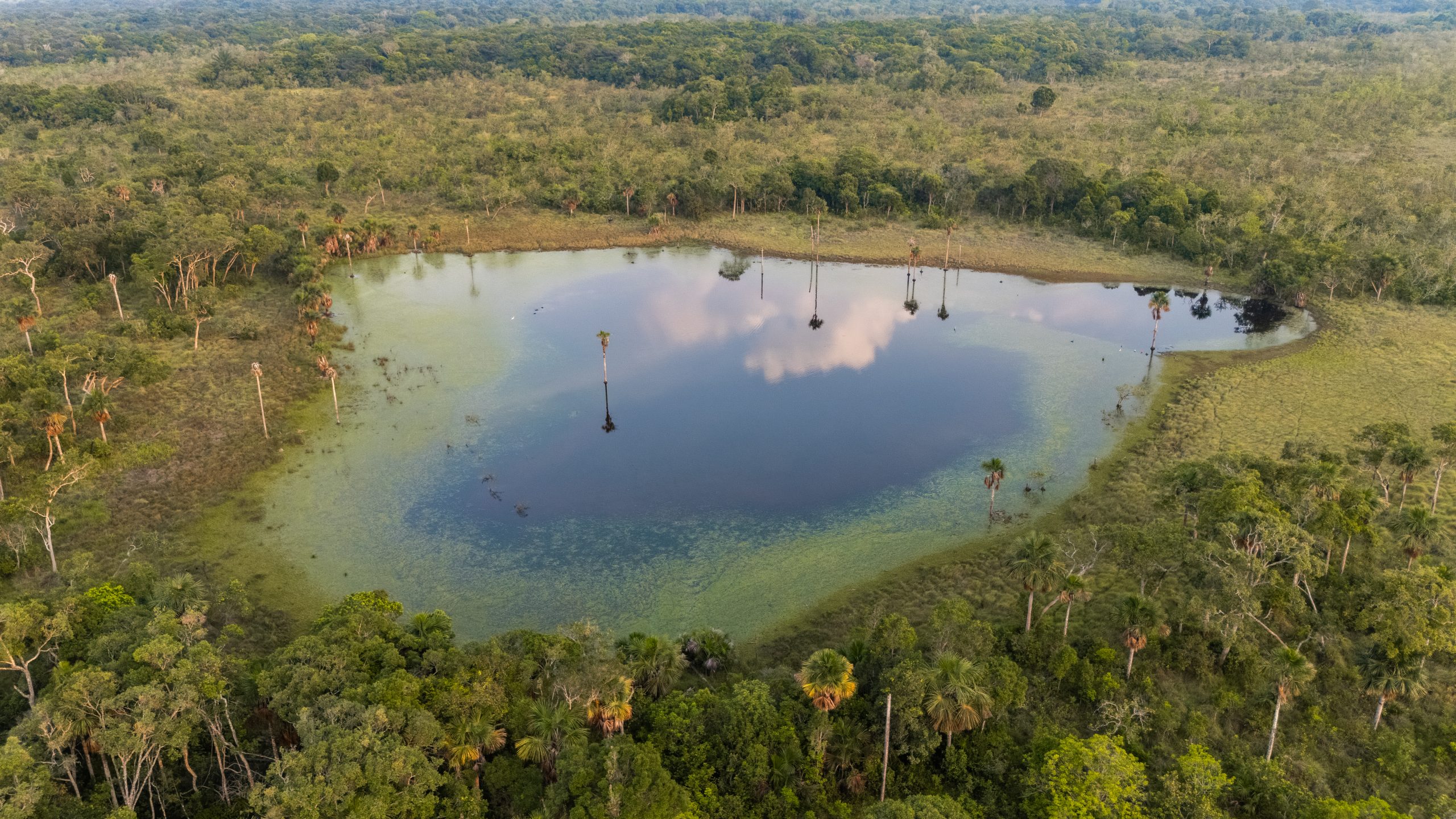 240 mil nuevas hectáreas para la conservación