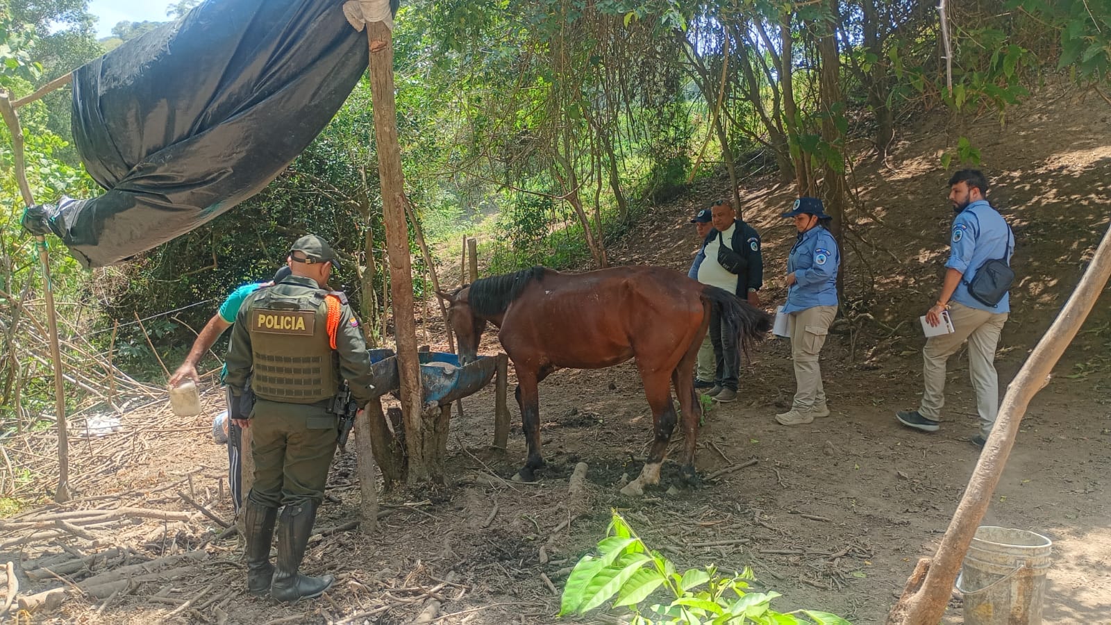 Parques Nacionales Naturales fortalece medidas de bienestar animal y seguimiento a las actividades de arriería en el Tayrona.
