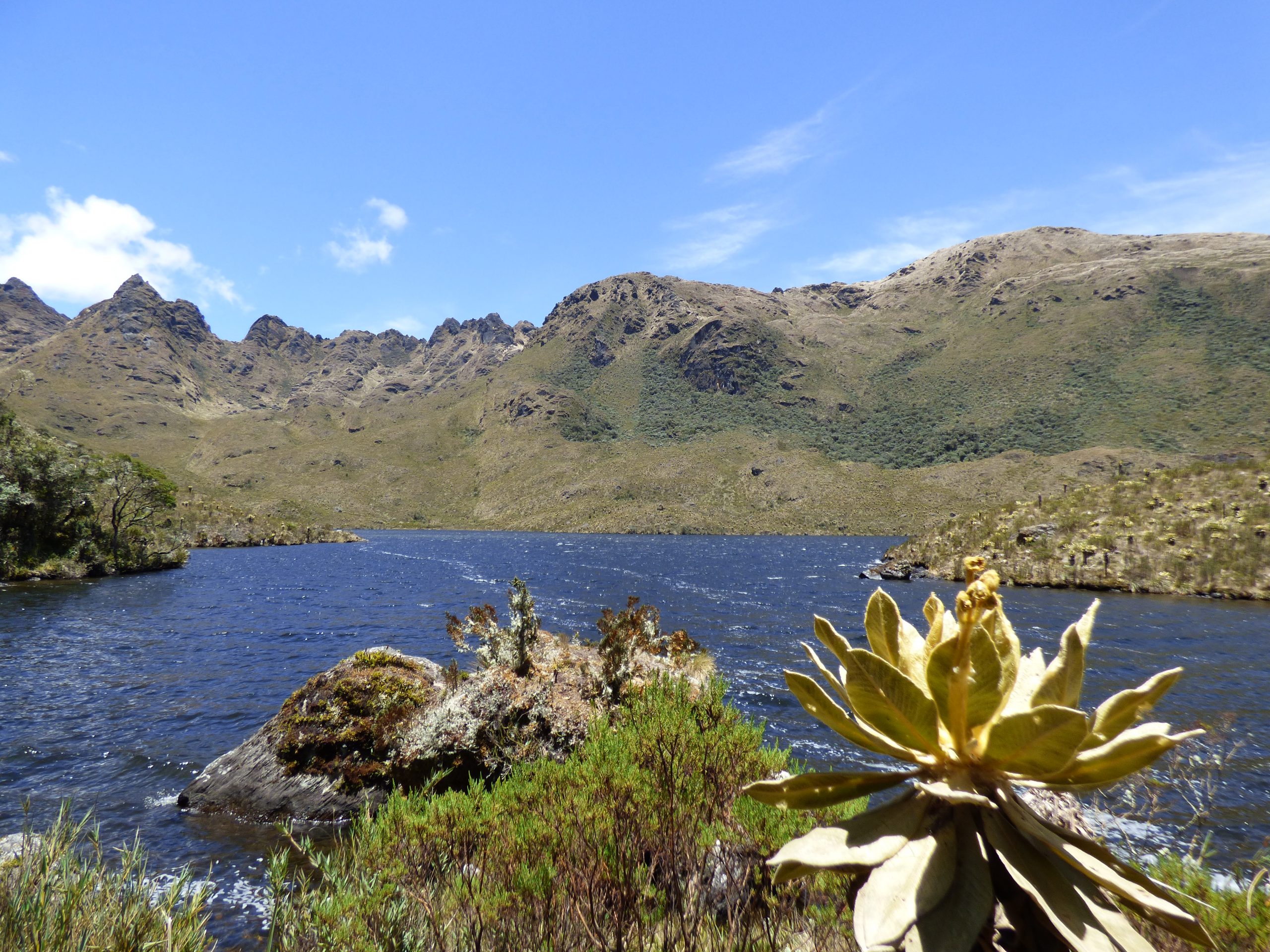 Parques Nacionales Naturales activa acciones de atención tras el sismo y mantiene sus áreas protegidas bajo monitoreo