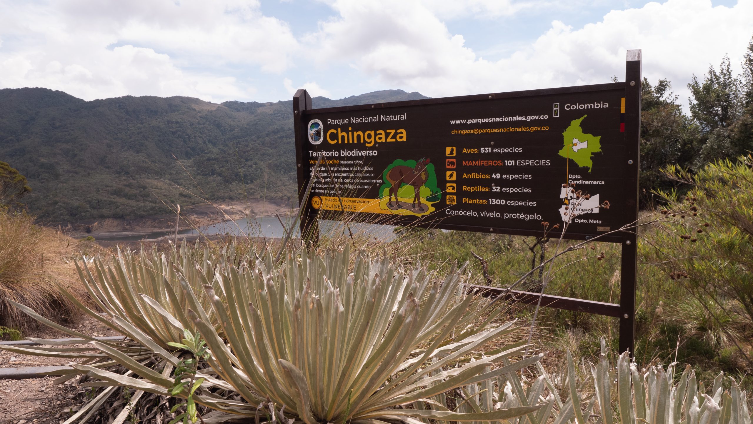 Chingaza Fest 2026: deporte, naturaleza y bienestar en el corazón del páramo