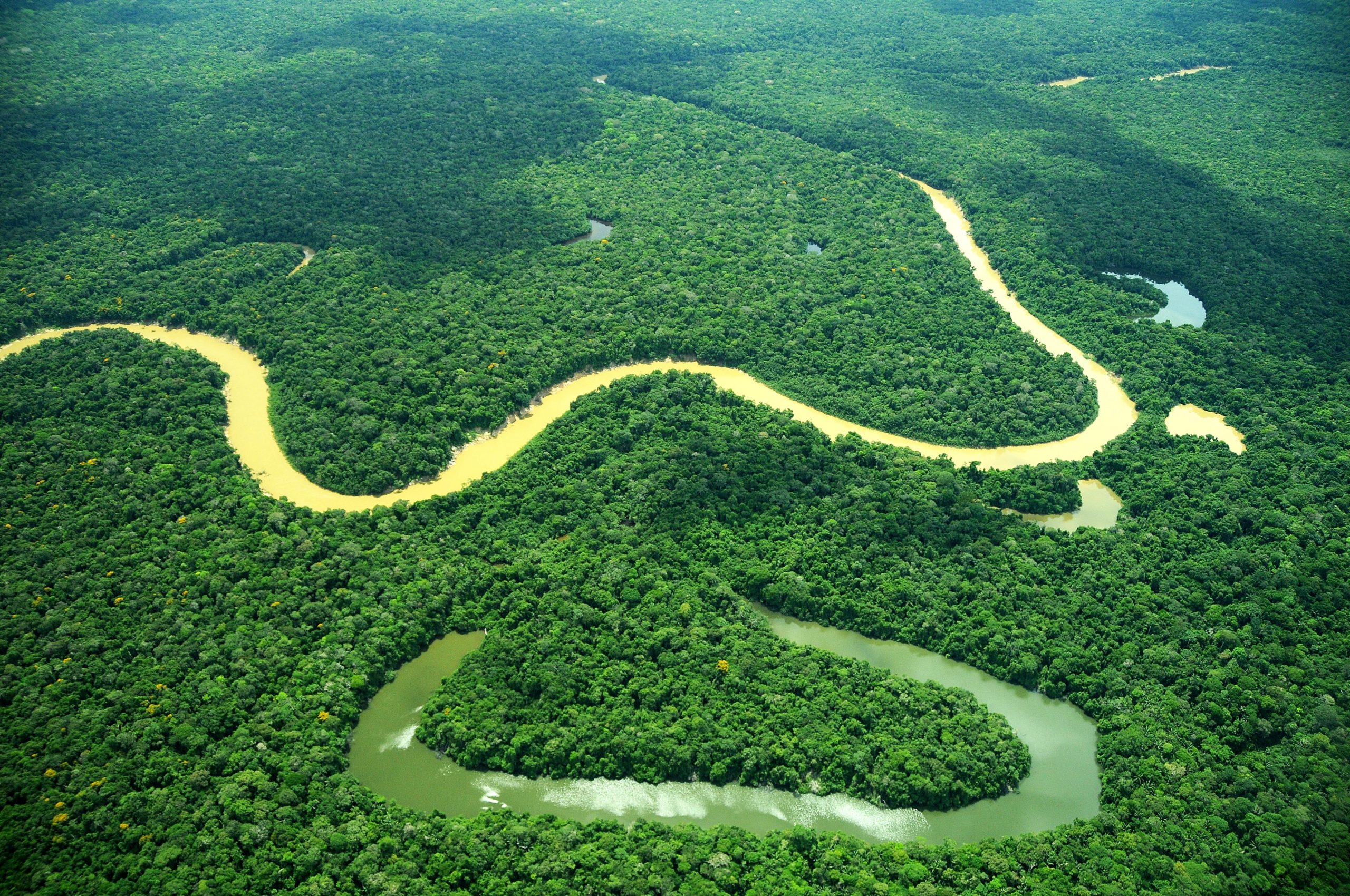 ¿Por qué los jóvenes son fundamentales para proteger la Amazonía?