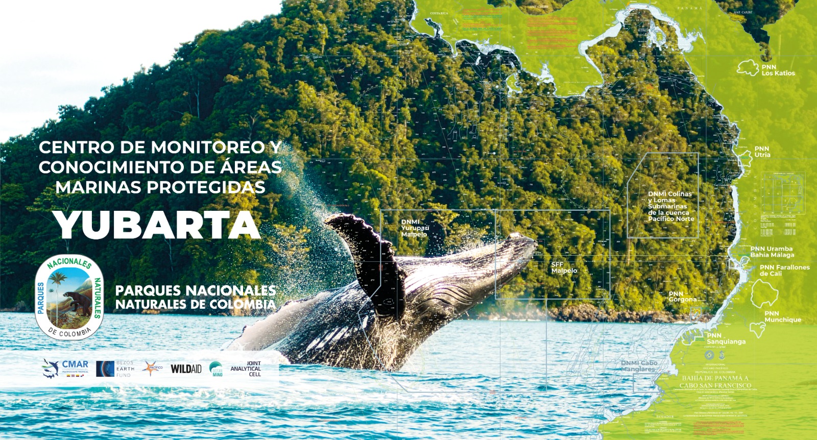 Parques Nacionales Naturales de Colombia fortalece la lucha contra la pesca ilegal en sus áreas marinas protegidas