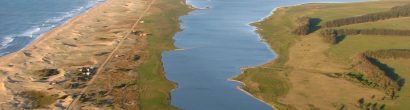 URUGUAY _ laguna de rocha