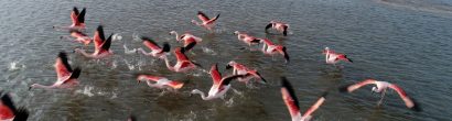 carrusel_mn_laguna_de_los_pozuelos_ph_parquesnacionales_09