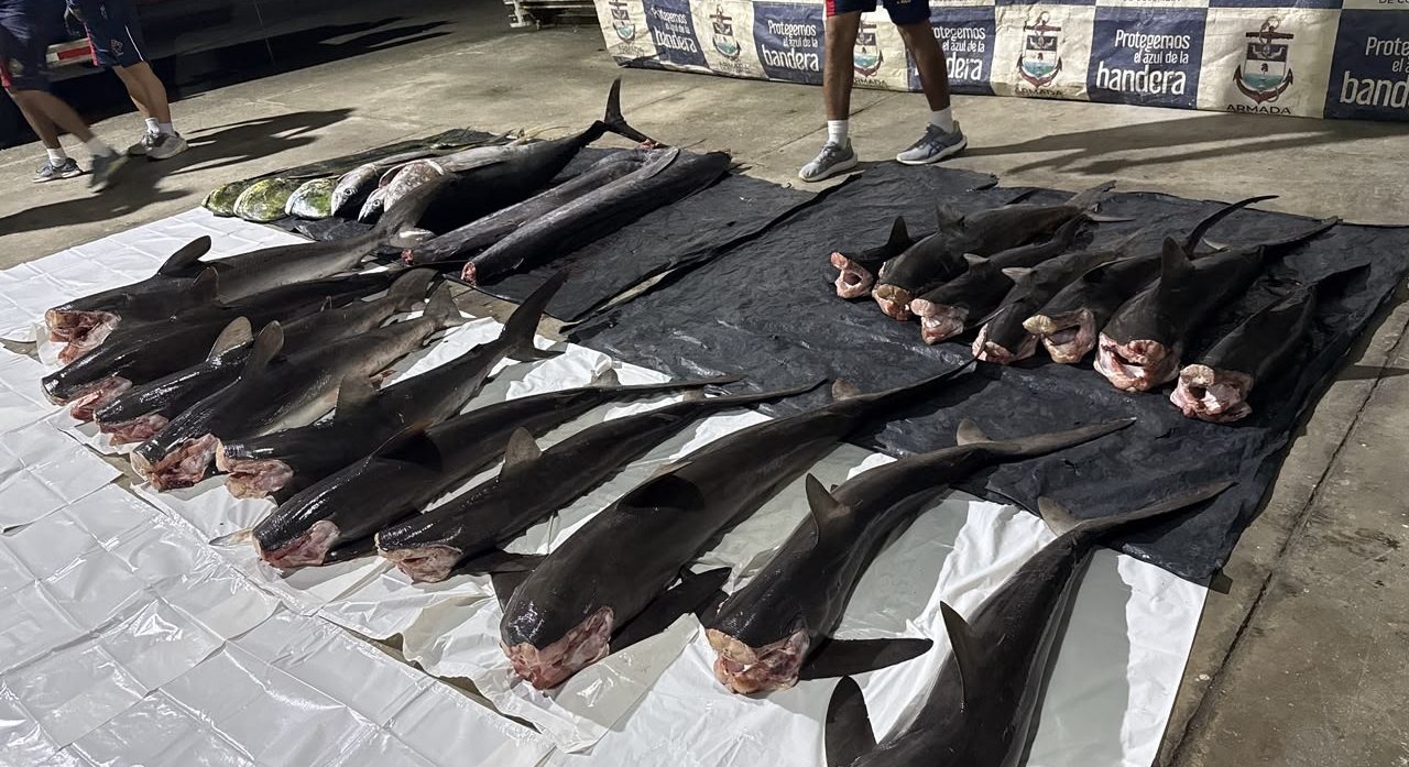 Operativo en el Santuario de Fauna Y Flora Malpelo frustra nueva incursión de pesca ilegal en una de las áreas marinas más importantes del Pacífico colombiano