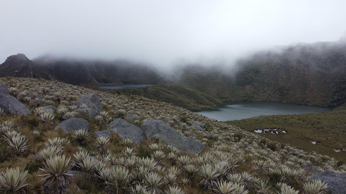 Herencia Colombia fortalece capacidades para el financiamiento de la conservación