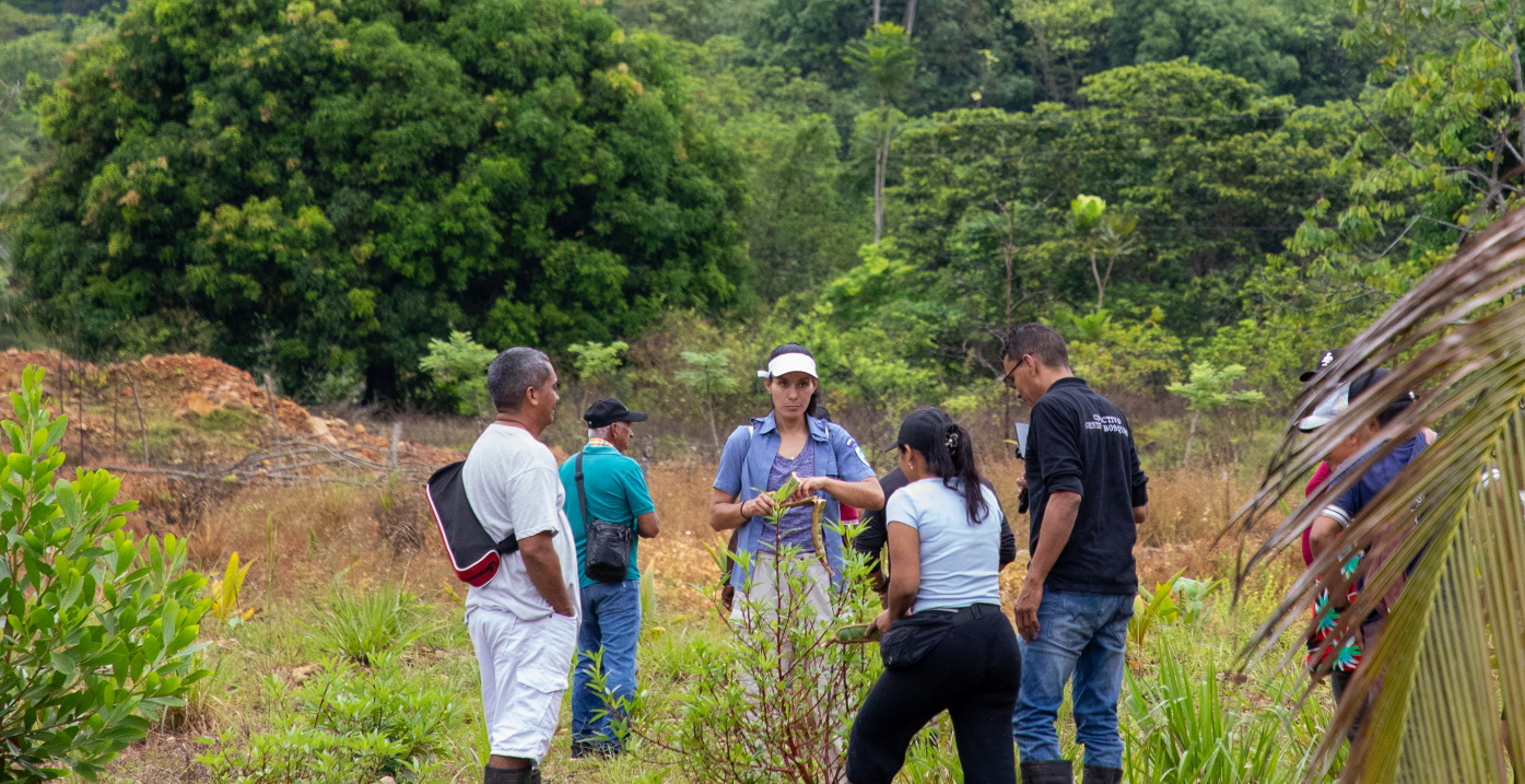 En Villa Hermosa, el bosque también se cultiva, se cuida y se convierte en futuro