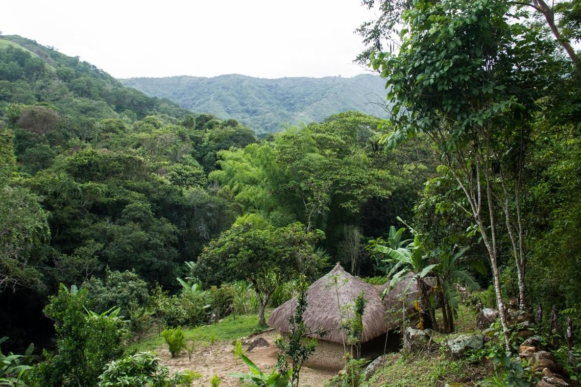 La restauración ecológica biocultural en la Sierra Nevada de Santa Marta se construye con sus pueblos